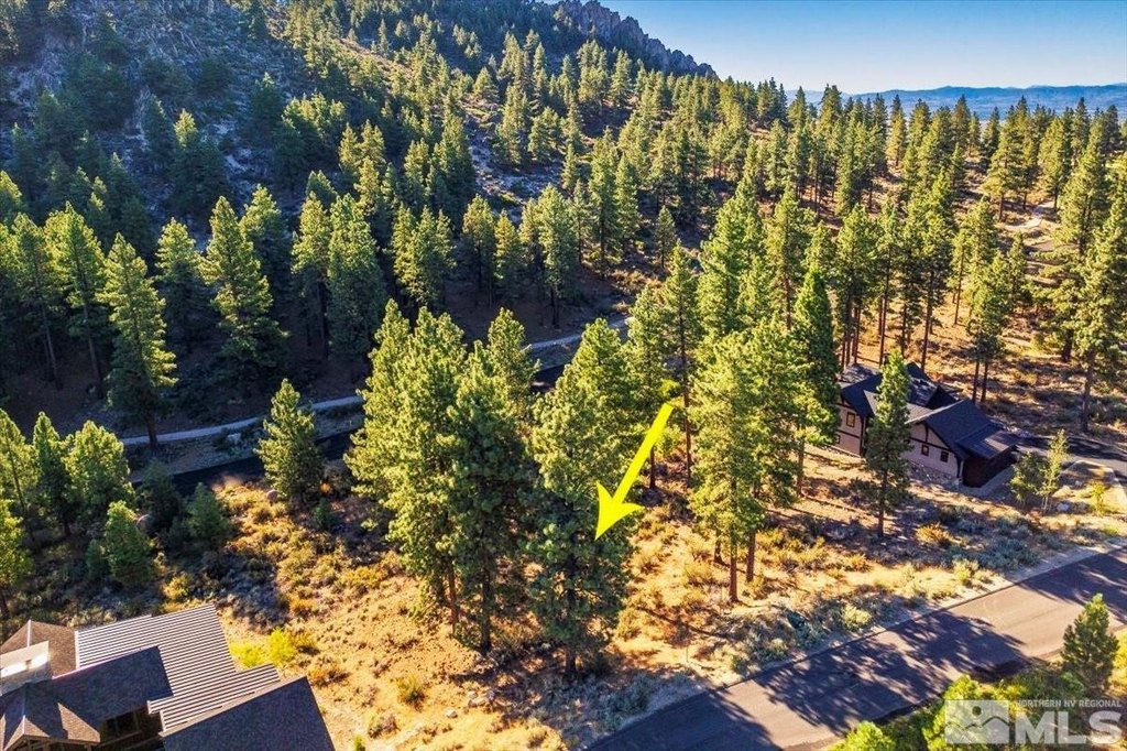 Carson City, Nevada, 89705, United States, ,Land,Forsale,1886463