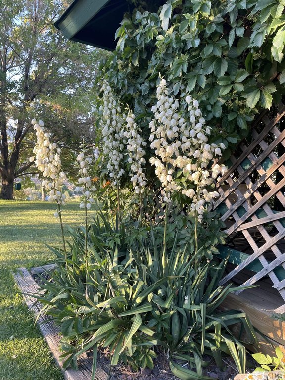 Reno, Nevada, 89523, United States, 6 Bedrooms Bedrooms, ,3.5 BathroomsBathrooms,Residential,Forsale,1954169