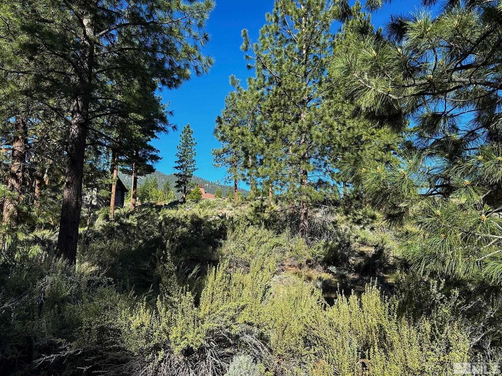 Carson City, Nevada, 89705, United States, ,Land,Forsale,1886463