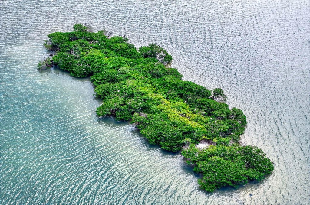 Marco Island, Florida, 34145, United States, ,Land,Forsale,2004778