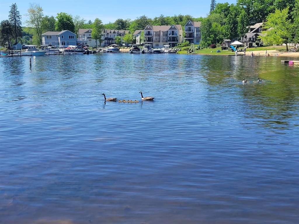 Laconia, New Hampshire, 03246, United States, 1 Bedroom Bedrooms, ,1 BathroomBathrooms,Residential,Forsale,1933999