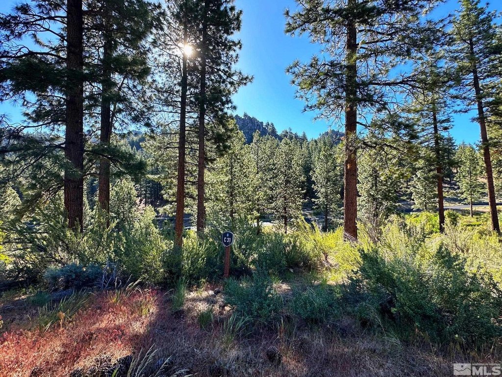 Carson City, Nevada, 89705, United States, ,Land,Forsale,1886463