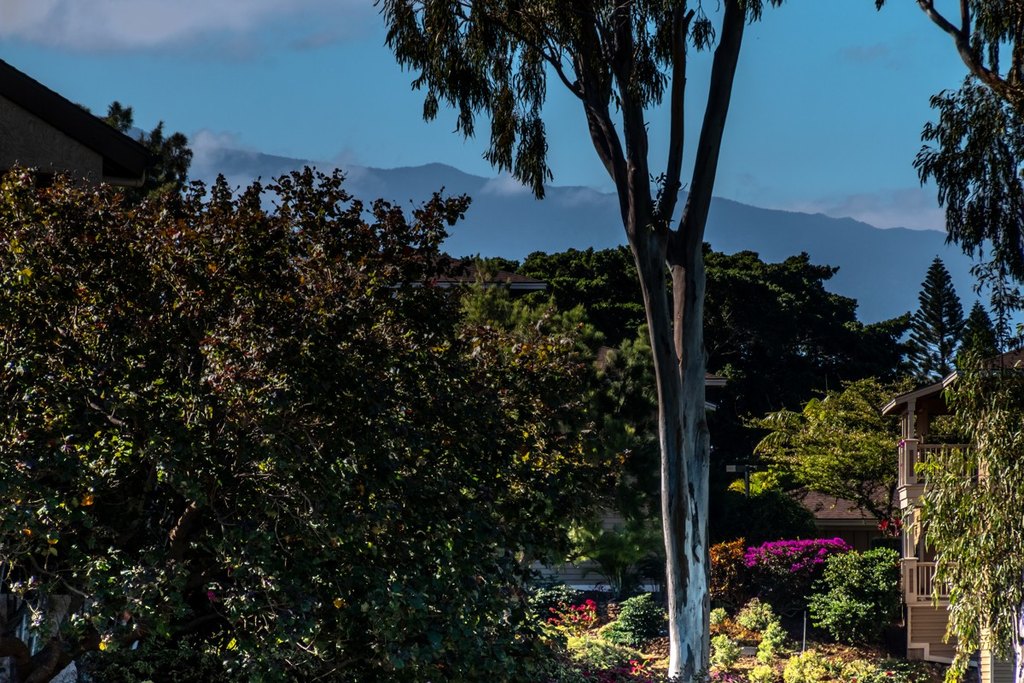 Waikoloa, Hawaii, 96738, United States, 2 Bedrooms Bedrooms, ,2 BathroomsBathrooms,Residential,Forsale,1886619