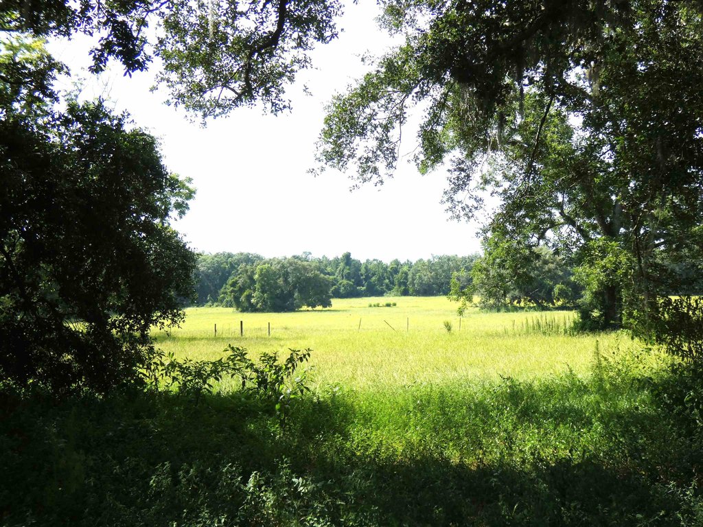 Lake City, Florida, 32025, United States, ,Land,Forsale,1946746