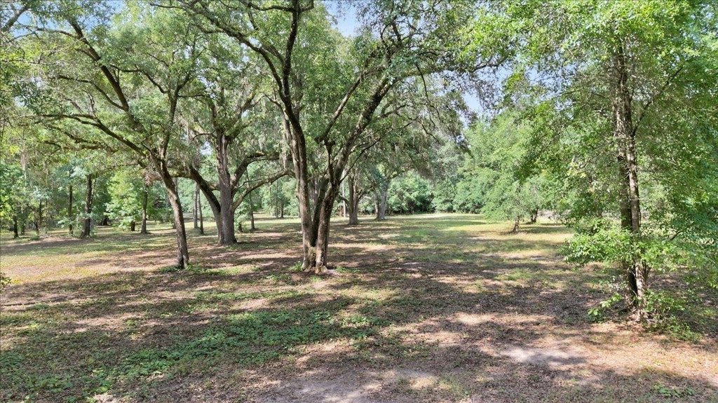 Quincy, Florida, 32351, United States, 3 Bedrooms Bedrooms, ,2 BathroomsBathrooms,Residential,Forsale,1919226