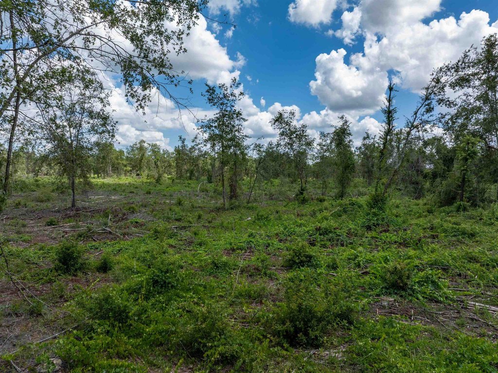 Lake City, Florida, 32025, United States, ,Land,Forsale,1946746