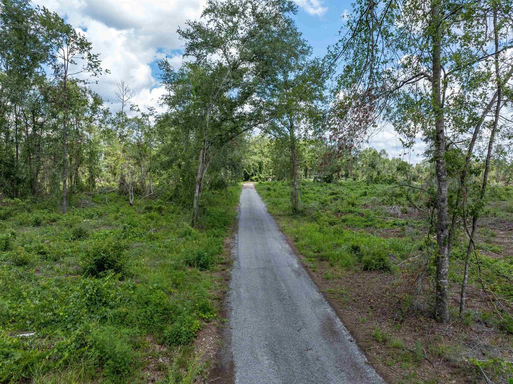 Lake City, Florida, 32025, United States, ,Land,Forsale,1946746
