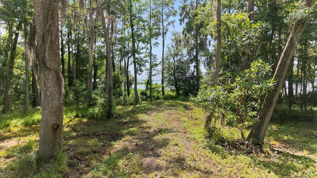 Quincy, Florida, 32351, United States, 3 Bedrooms Bedrooms, ,2 BathroomsBathrooms,Residential,Forsale,1919226