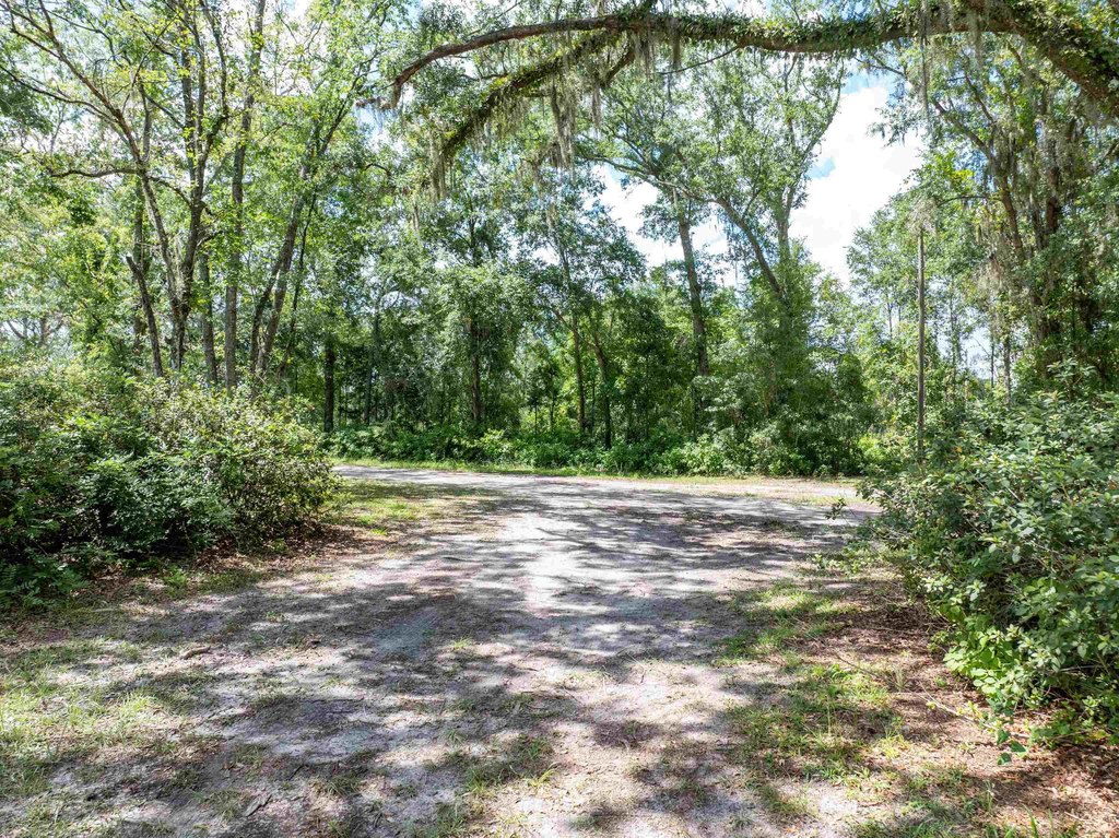 Lake City, Florida, 32025, United States, ,Land,Forsale,1946746