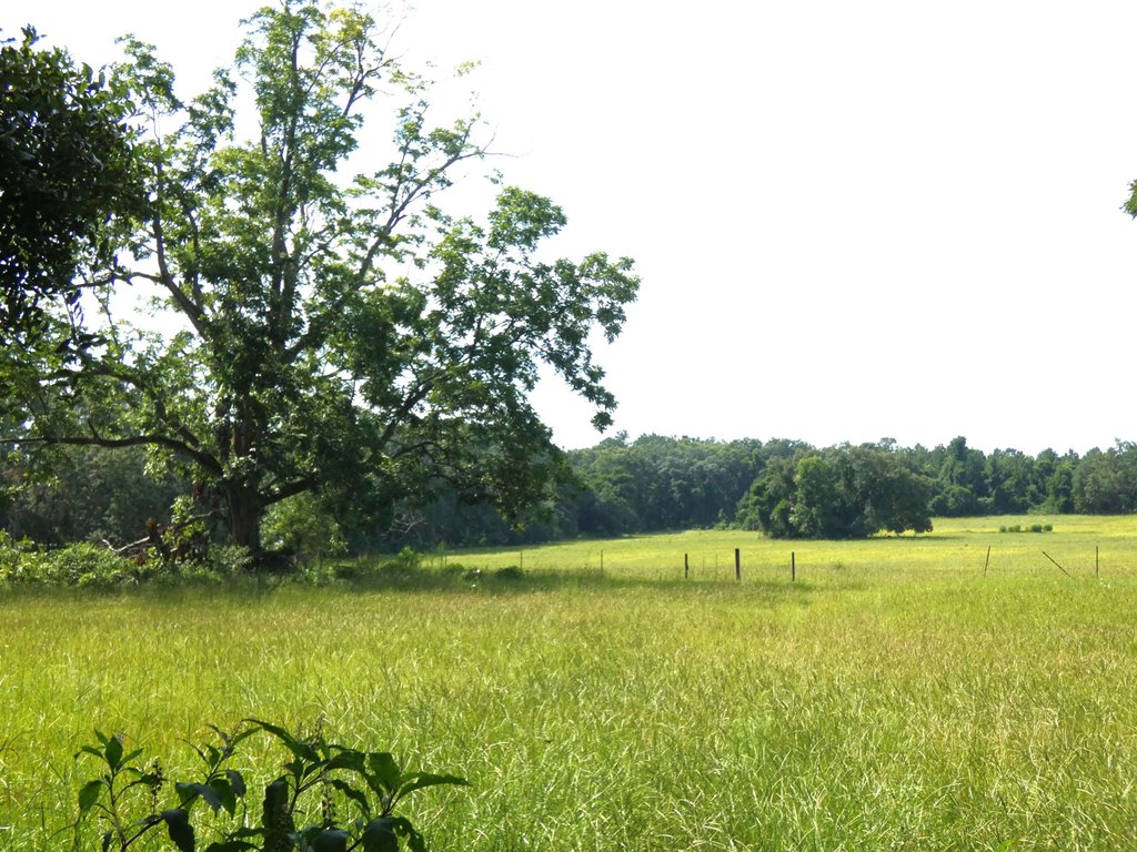 Lake City, Florida, 32025, United States, ,Land,Forsale,1946746