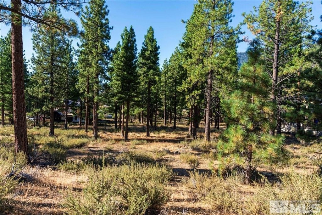 Carson City, Nevada, 89705, United States, ,Land,Forsale,1886462