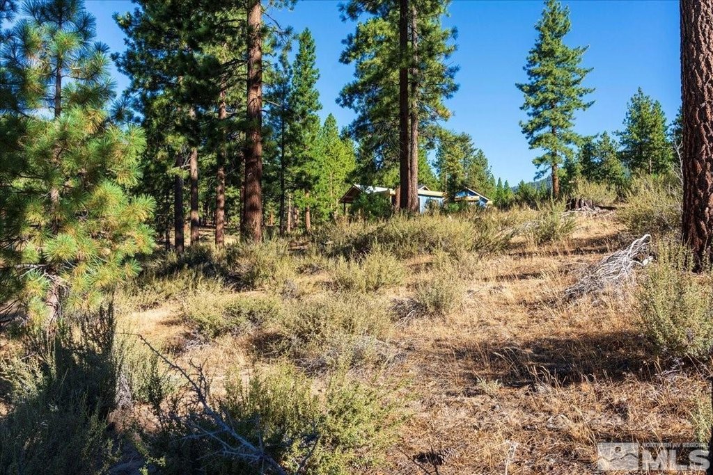 Carson City, Nevada, 89705, United States, ,Land,Forsale,1886462