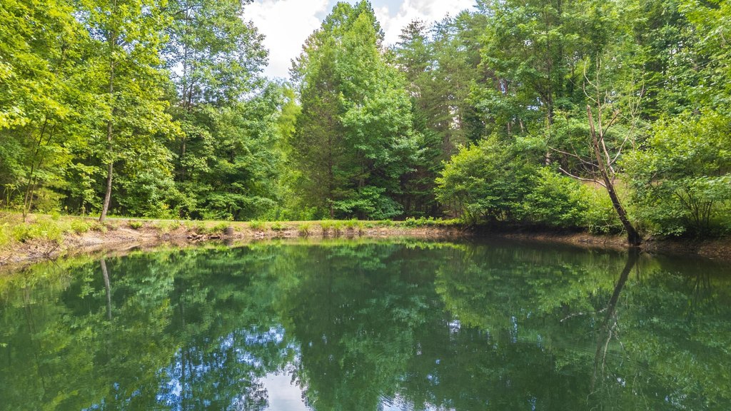 McDonald, Tennessee, 37353, United States, 4 Bedrooms Bedrooms, ,4 BathroomsBathrooms,Residential,Forsale,1922185