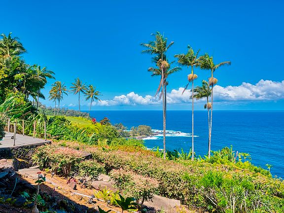 Laupahoehoe, Hawaii, 96764, United States, 3 Bedrooms Bedrooms, ,3 BathroomsBathrooms,Residential,Forsale,1972276