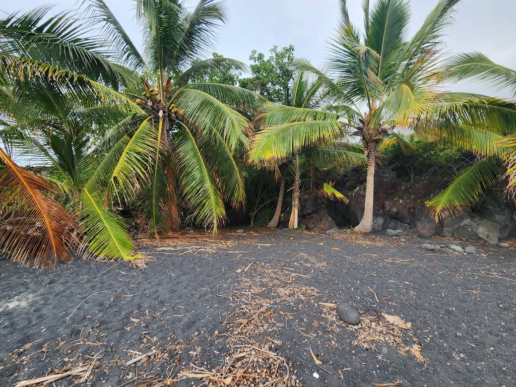 Captain Cook, Hawaii, 96704, United States, ,Land,Forsale,2004148