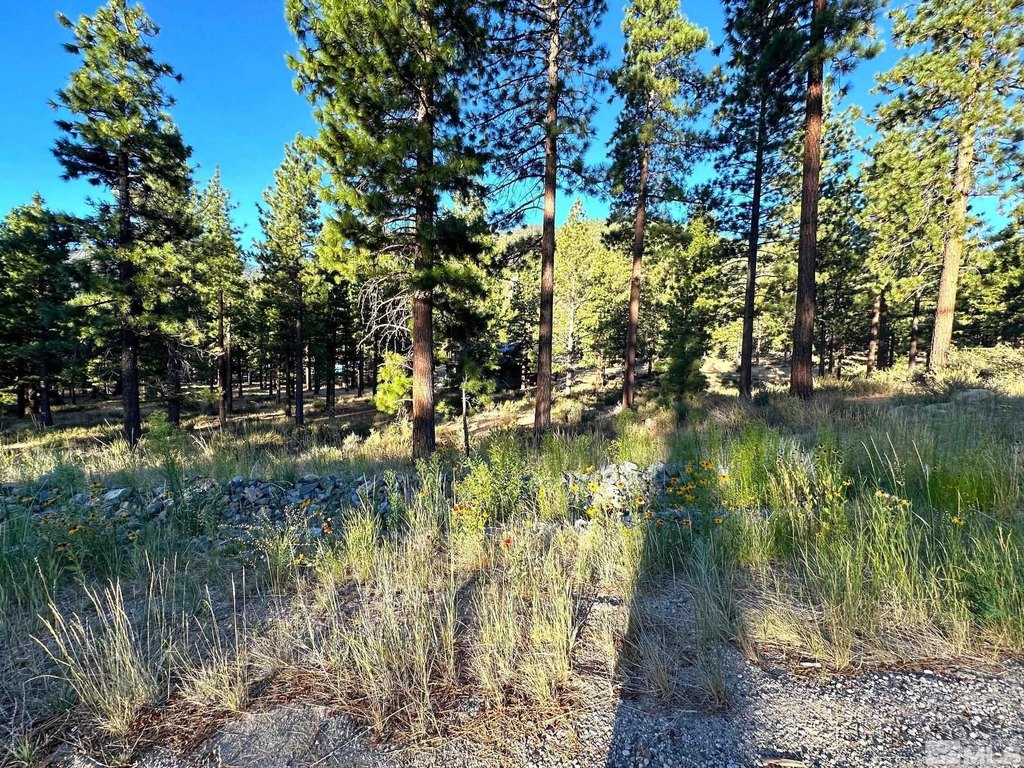 Carson City, Nevada, 89705, United States, ,Land,Forsale,1886462