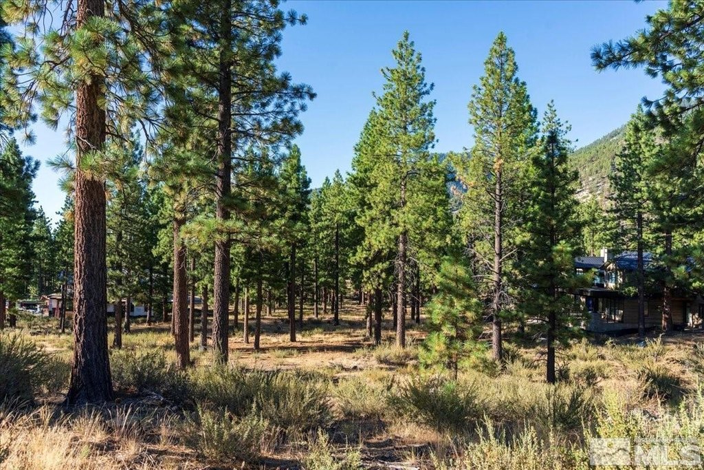 Carson City, Nevada, 89705, United States, ,Land,Forsale,1886462