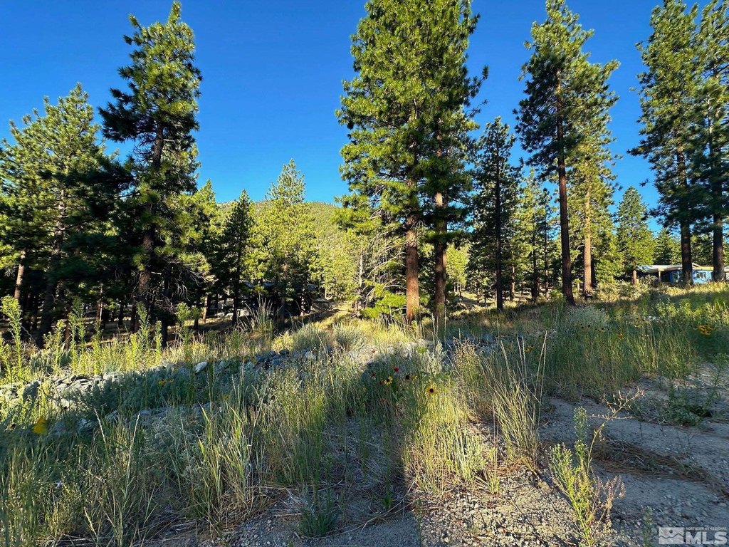Carson City, Nevada, 89705, United States, ,Land,Forsale,1886462