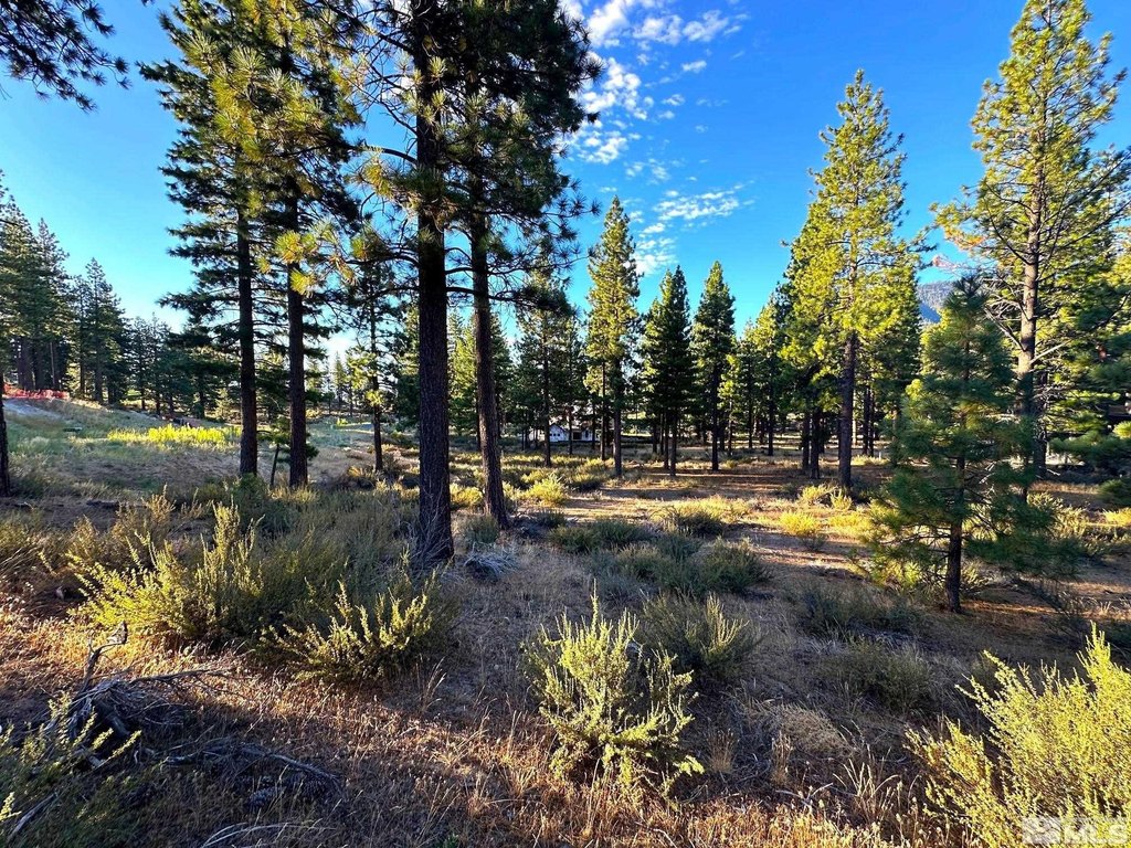 Carson City, Nevada, 89705, United States, ,Land,Forsale,1886462
