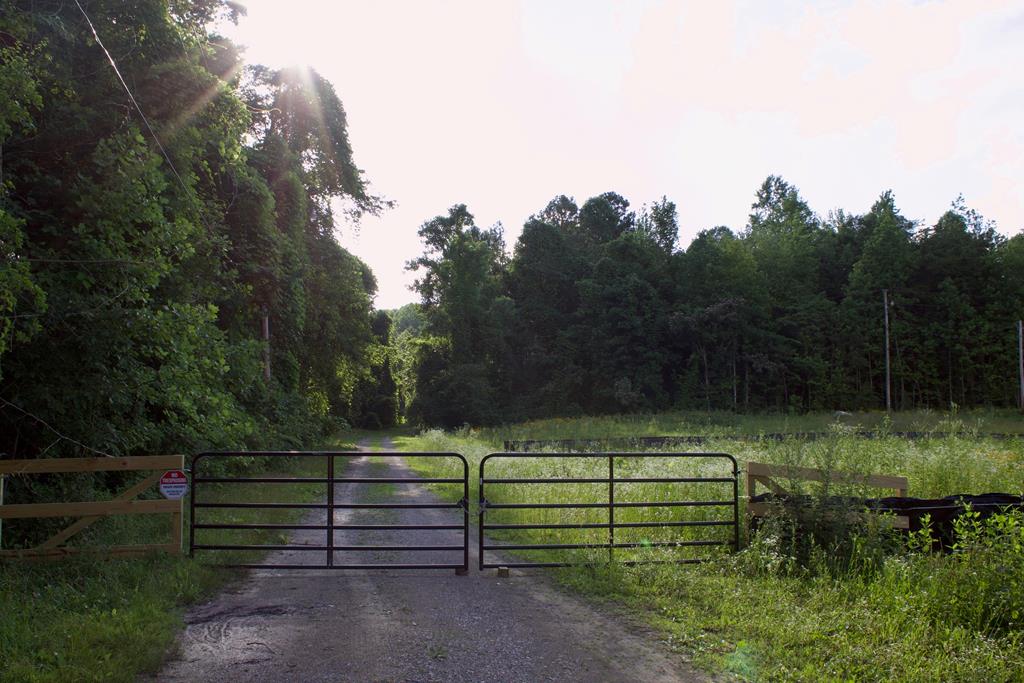 Cookeville, Tennessee, 38501, United States, ,Land,Forsale,1905428