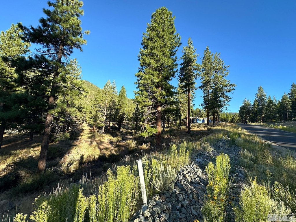 Carson City, Nevada, 89705, United States, ,Land,Forsale,1886462
