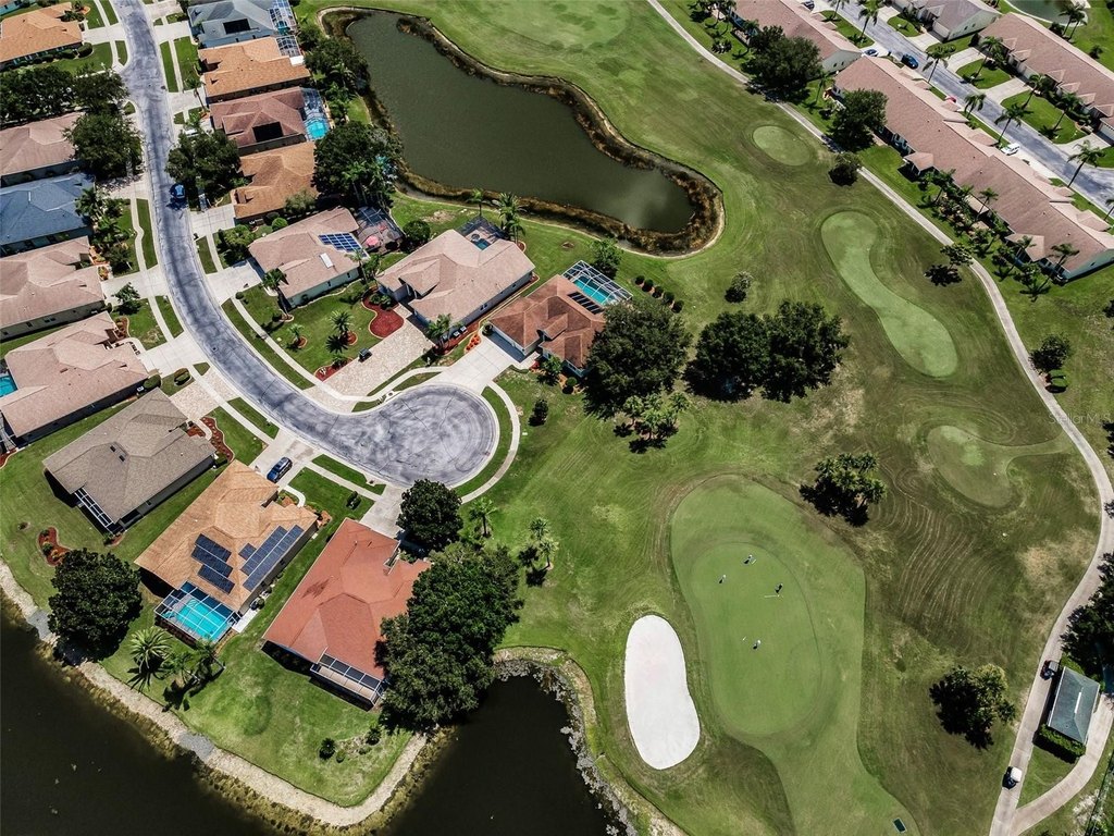 TRINITY, Florida, 34655, United States, 3 Bedrooms Bedrooms, ,2 BathroomsBathrooms,Residential,Forsale,1919161