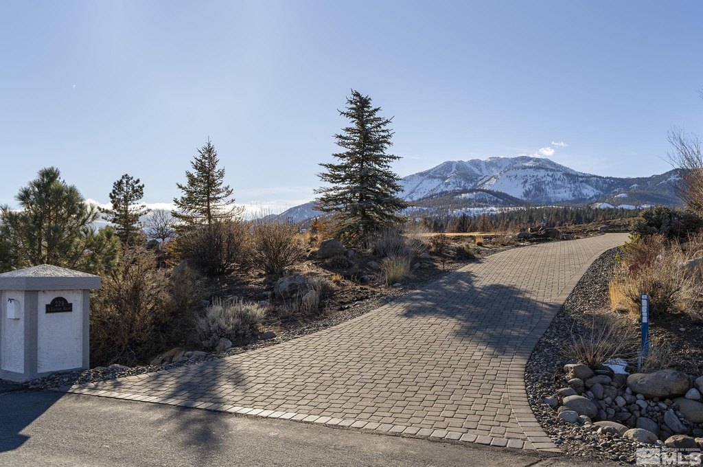 Reno, Nevada, 89511, United States, ,Land,Forsale,1936723