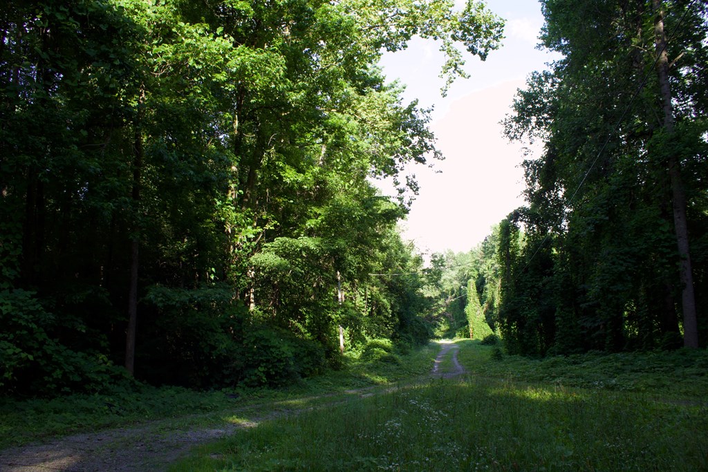 Cookeville, Tennessee, 38501, United States, ,Land,Forsale,1905428