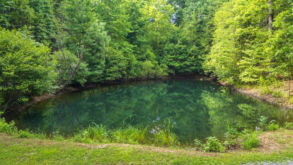 McDonald, Tennessee, 37353, United States, 4 Bedrooms Bedrooms, ,4 BathroomsBathrooms,Residential,Forsale,1922185