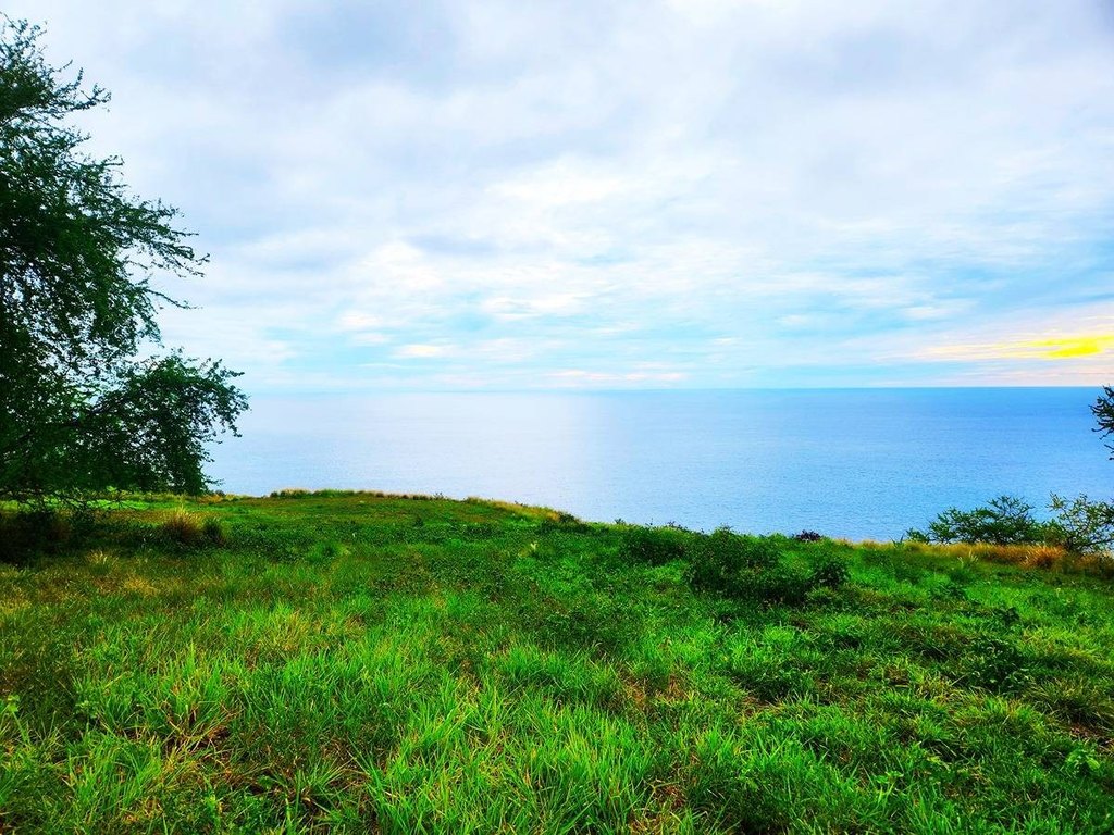 Captain Cook, Hawaii, 96704, United States, ,Land,Forsale,2004148