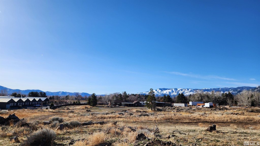 Washoe Valley, Nevada, 89704, United States, ,Land,Forsale,1929233