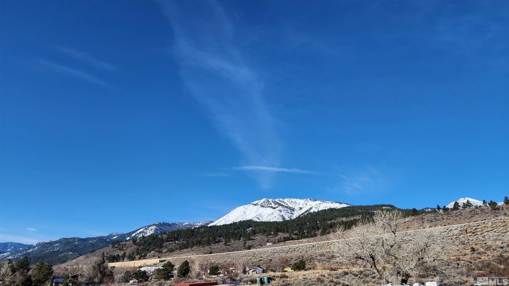 Washoe Valley, Nevada, 89704, United States, ,Land,Forsale,1929233