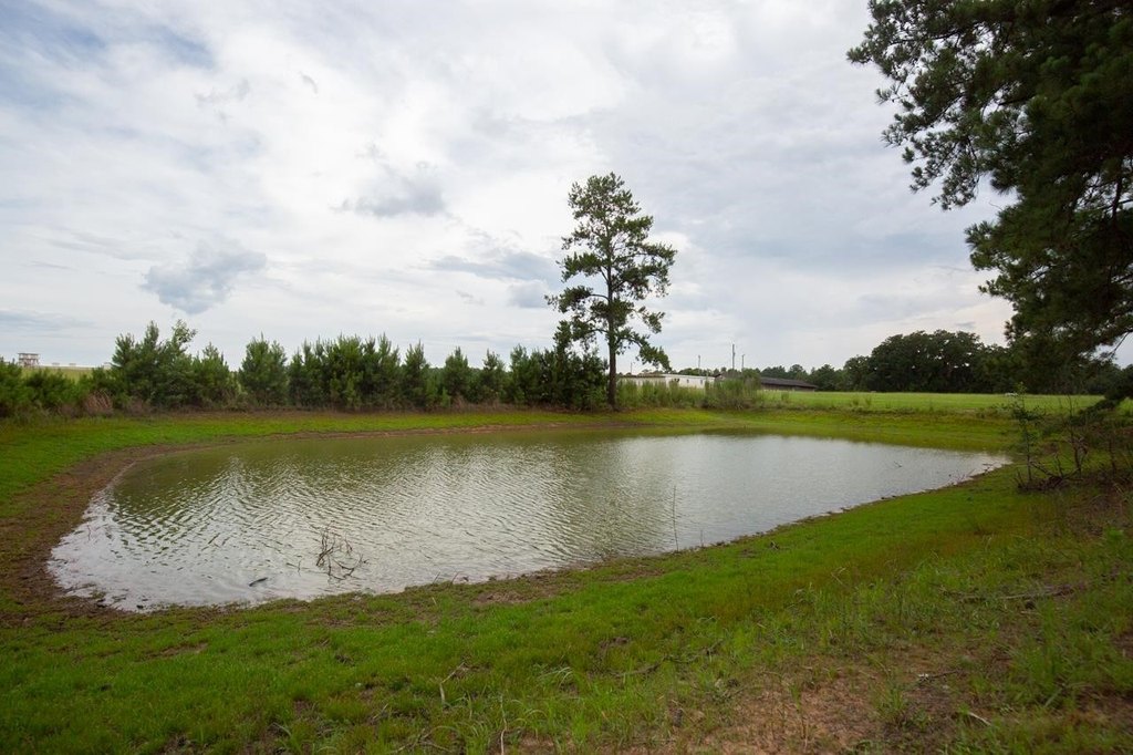 Monticello, Florida, 32344, United States, ,Commercial,Forsale,1946749