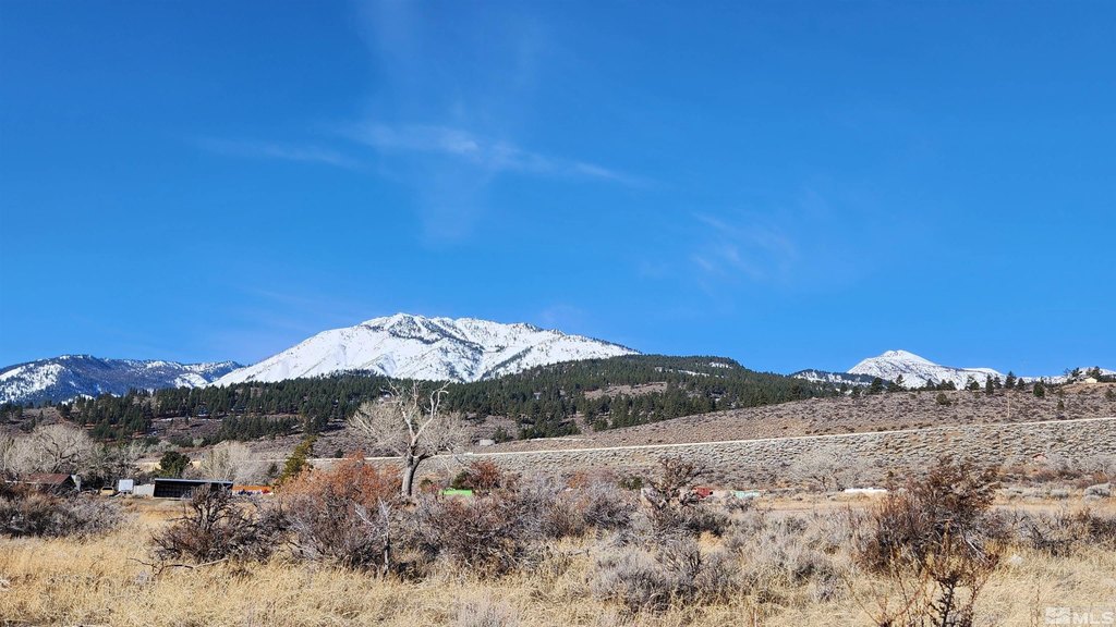 Washoe Valley, Nevada, 89704, United States, ,Land,Forsale,1929233