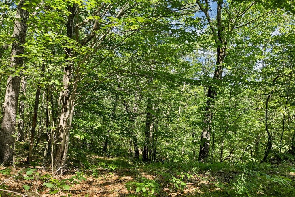 Moultonborough, New Hampshire, 03254, United States, 4 Bedrooms Bedrooms, ,3.5 BathroomsBathrooms,Residential,Forsale,1941219