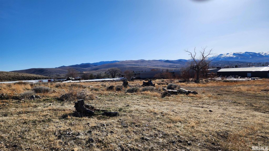 Washoe Valley, Nevada, 89704, United States, ,Land,Forsale,1929233