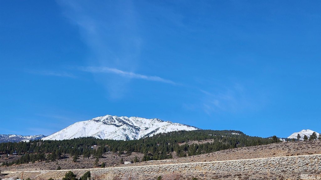Washoe Valley, Nevada, 89704, United States, ,Land,Forsale,1929233