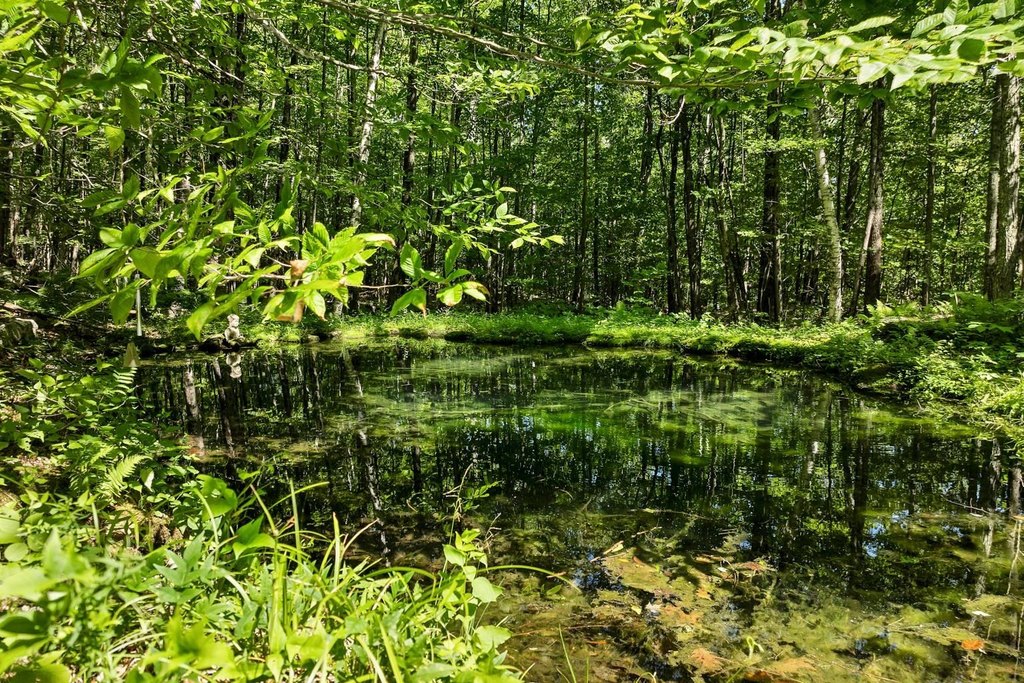 Moultonborough, New Hampshire, 03254, United States, 4 Bedrooms Bedrooms, ,3.5 BathroomsBathrooms,Residential,Forsale,1941219