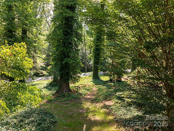 Asheville, North Carolina, 28803, United States, ,Land,Forsale,1904906