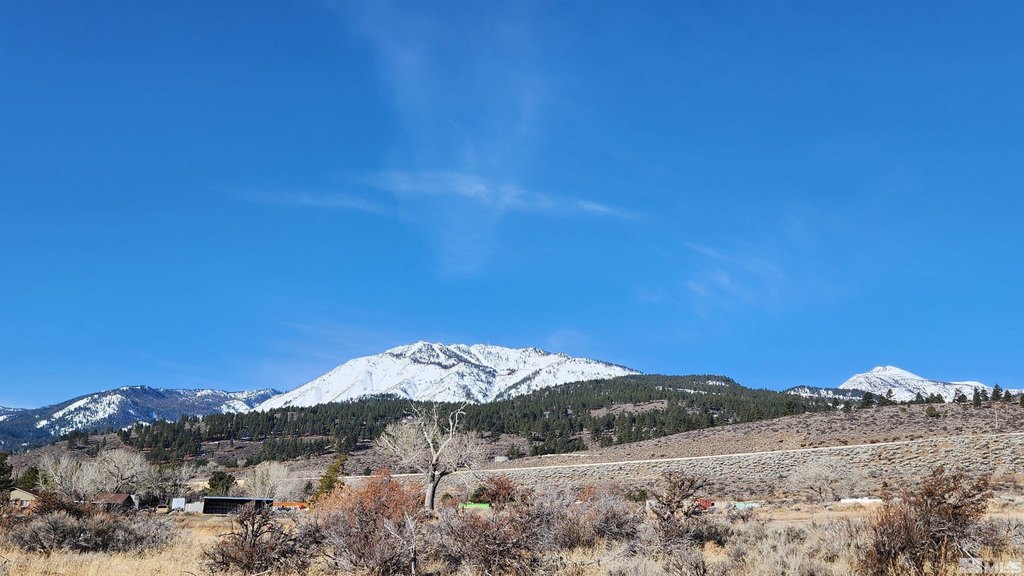 Washoe Valley, Nevada, 89704, United States, ,Land,Forsale,1929233