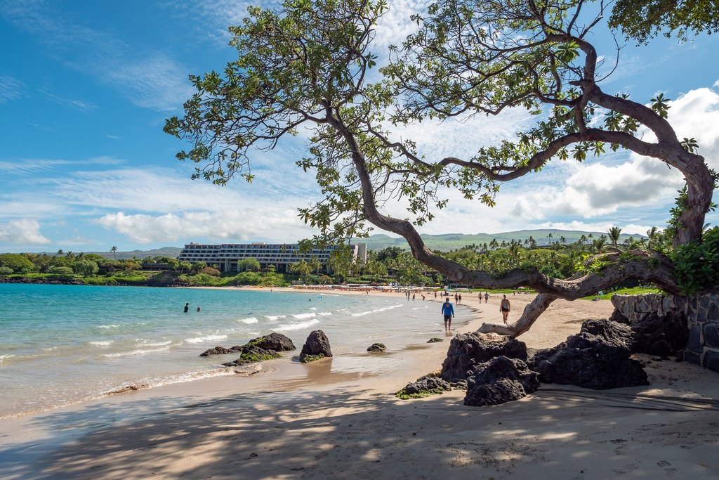 Kamuela, Hawaii, 96743, United States, 6 Bedrooms Bedrooms, ,6.5 BathroomsBathrooms,Residential,Forsale,1886596