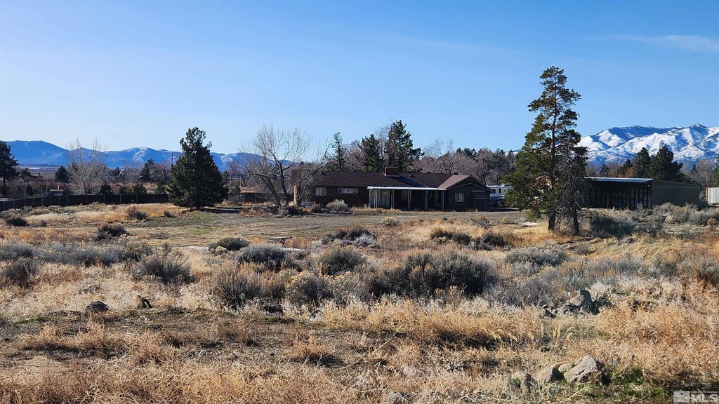 Washoe Valley, Nevada, 89704, United States, ,Land,Forsale,1929233