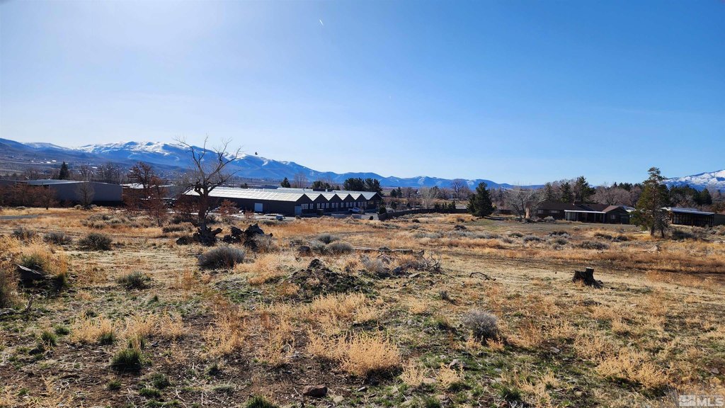 Washoe Valley, Nevada, 89704, United States, ,Land,Forsale,1929233