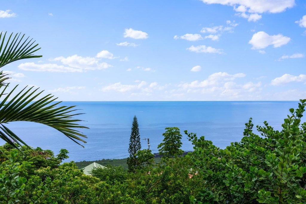 Captain Cook, Hawaii, 96704, United States, 2 Bedrooms Bedrooms, ,1.5 BathroomsBathrooms,Residential,Forsale,1953740