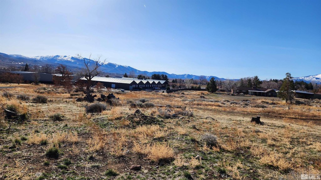 Washoe Valley, Nevada, 89704, United States, ,Land,Forsale,1929233