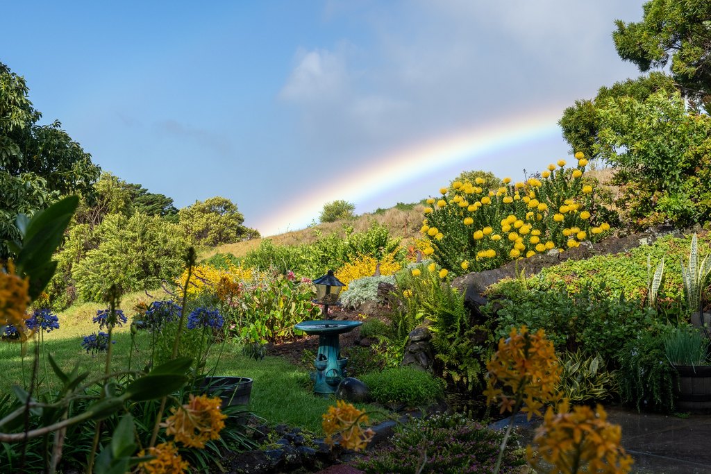 Kamuela, Hawaii, 96743, United States, 5 Bedrooms Bedrooms, ,5.5 BathroomsBathrooms,Residential,Forsale,1886586