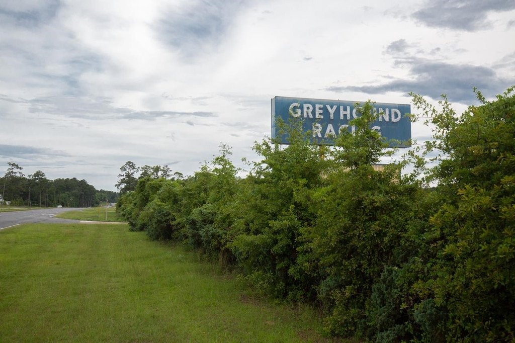 Monticello, Florida, 32344, United States, ,Commercial,Forsale,1946749
