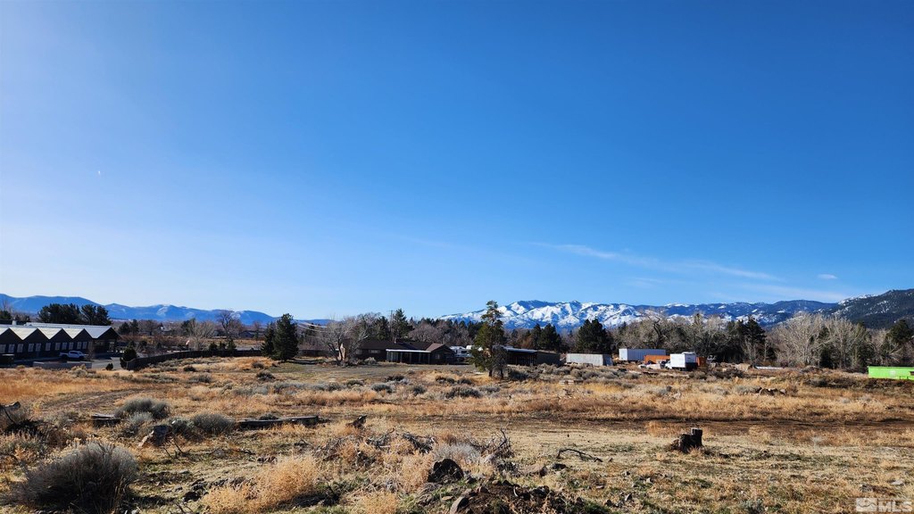 Washoe Valley, Nevada, 89704, United States, ,Land,Forsale,1929233
