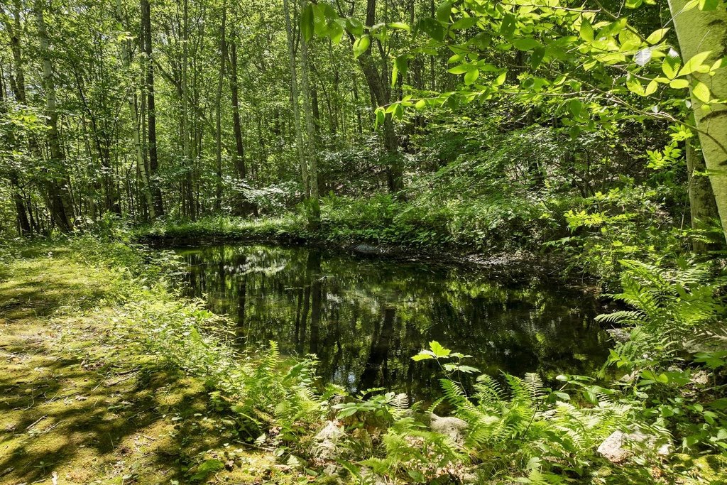 Moultonborough, New Hampshire, 03254, United States, 4 Bedrooms Bedrooms, ,3.5 BathroomsBathrooms,Residential,Forsale,1941219