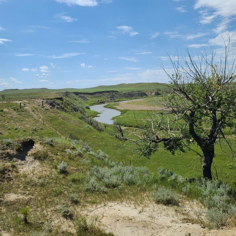 Camp Crook, South Dakota, 57724, United States, ,Residential,Forsale,1918993